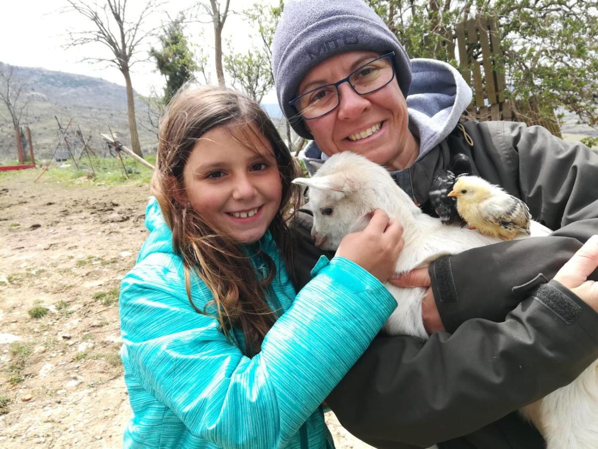Casa Rural Amador Villarroya de los Pinares エクステリア 写真