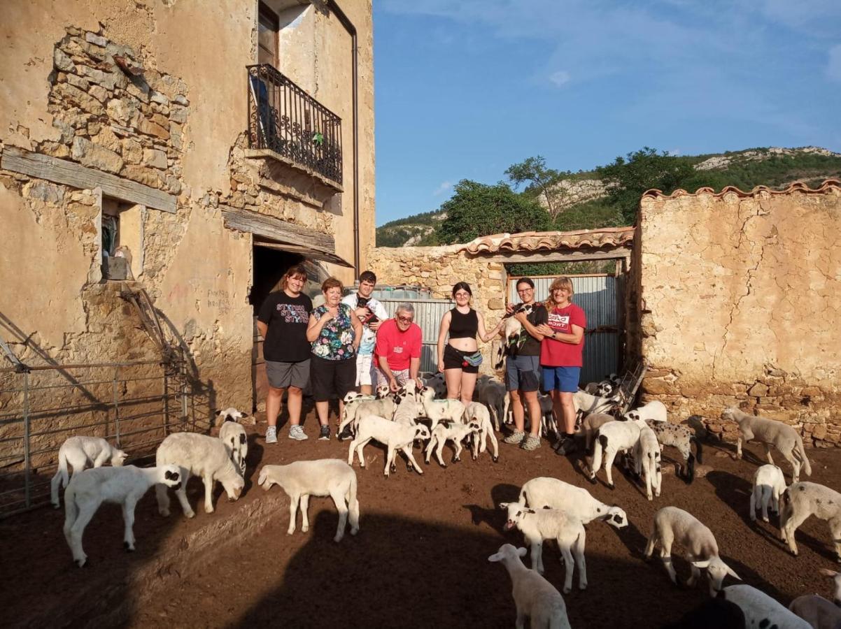 Casa Rural Amador Villarroya de los Pinares エクステリア 写真